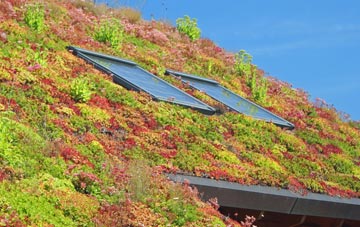 Little Hoole Moss Houses living roof systems