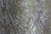 Little Hoole Moss Houses fibreglass roof work