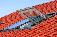 Little Hoole Moss Houses roof window